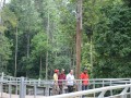 Tn PPTC 087
